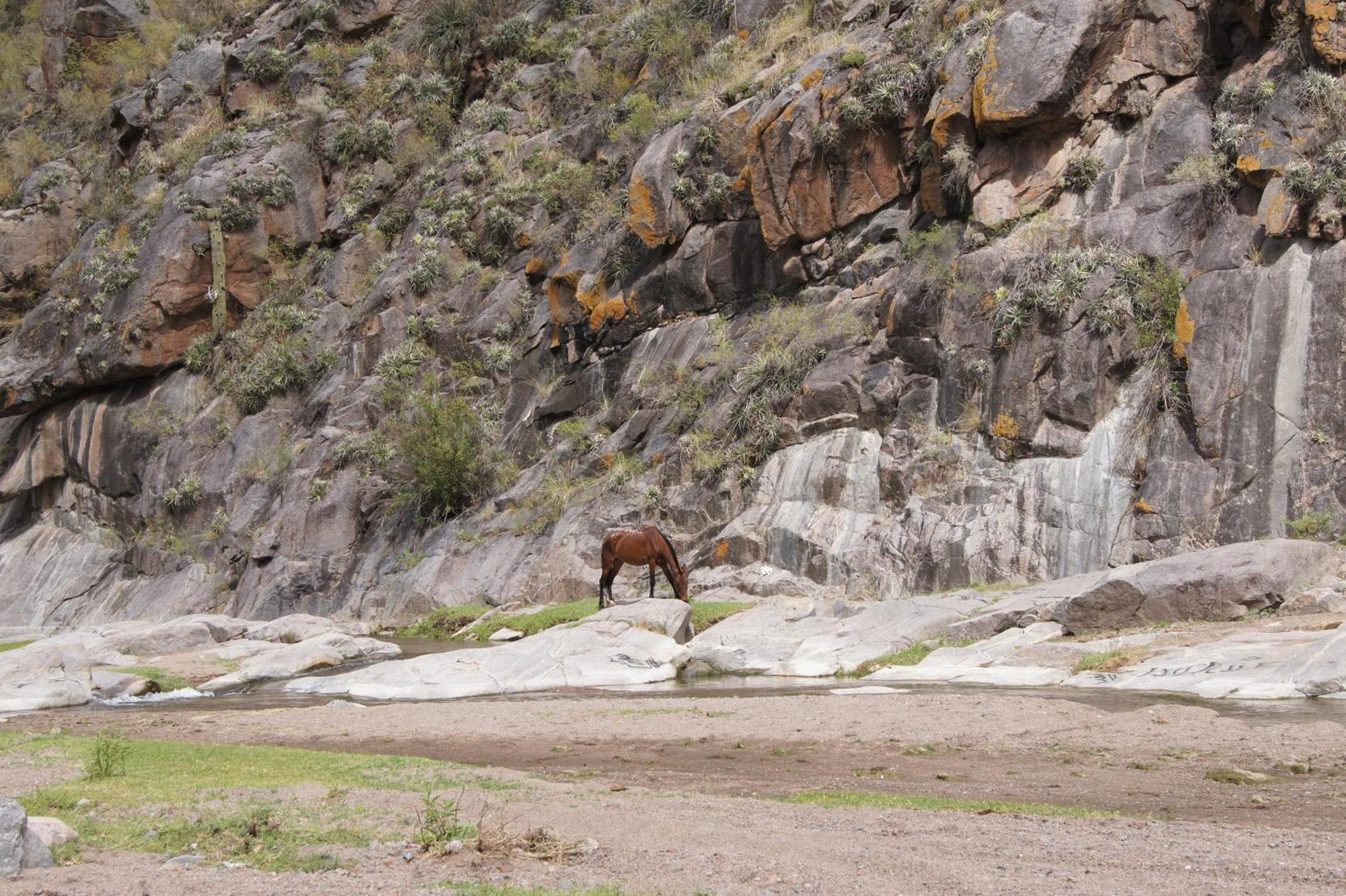 Altos Del Valle *
